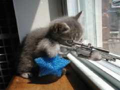 1 chat sniper